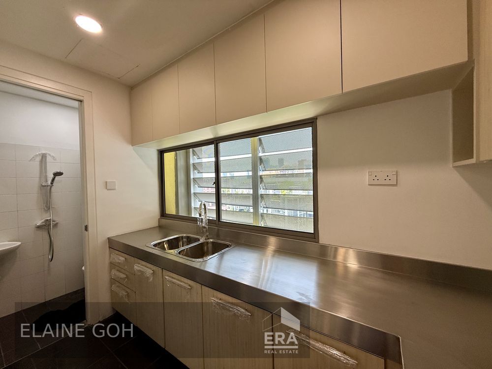 Freehold 3 Room Penthouse Triplex Balcony & Roof 1 Km River Valley Pri