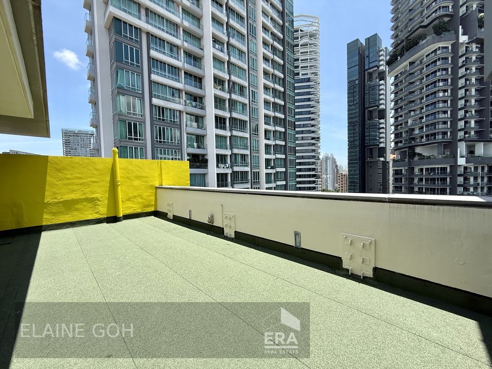 Freehold 3 Room Penthouse Triplex Balcony & Roof 1 Km River Valley Pri