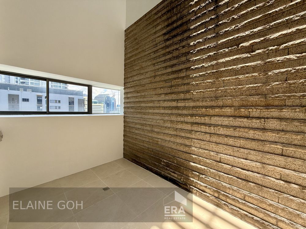 Freehold 3 Room Penthouse Triplex Balcony & Roof 1 Km River Valley Pri