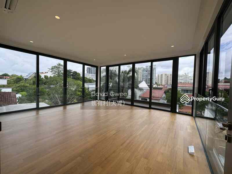 Prop-GPT: Detached: D10 Holland Cheapest Brand New Detached 1 Km Henry Park  Call DavidGwee 81394988 Now!