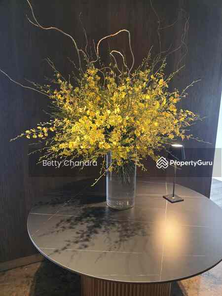 Prop-GPT: Condominium: D10  Nassim Park Residences