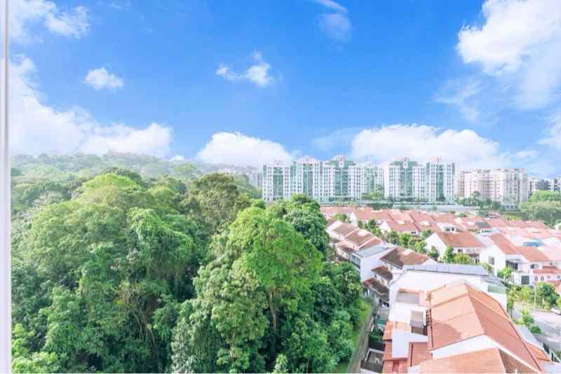 Natura @ Hillview: D23 Hillview Condominium | Prop-GPT the AI-Powered Property Guru