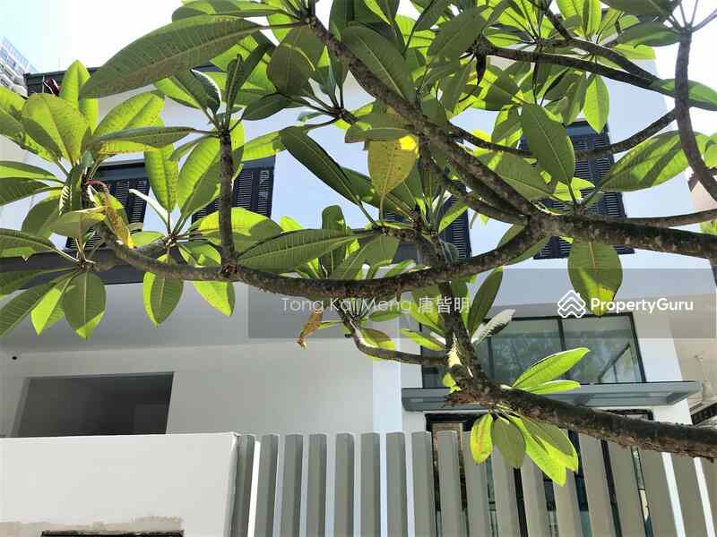 SUPER GOOD LOC !! D10 Semi-D!! 1-km Nanyang, 8-Min Walk Farrer Rd MRT, Empress Mkt9654.3774 TONG: D10  Semi-Detached | Prop-GPT the AI-Powered Property Guru