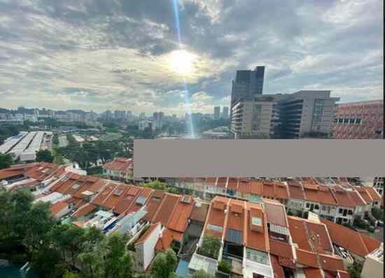 Spottiswoode Residences: D02  Condominium | Prop-GPT the AI-Powered Property Guru