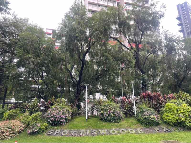 101 SPOTTISWOODE PARK ROAD: D02  Apartment | Prop-GPT the AI-Powered Property Guru