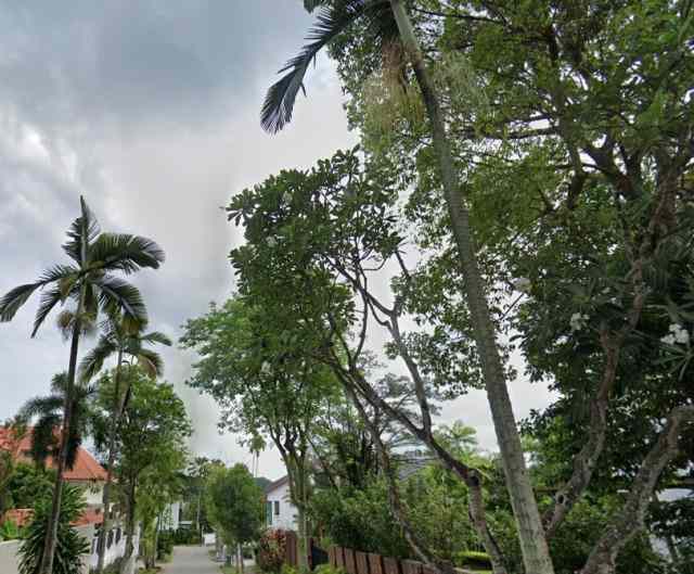 MELROSE DRIVE: D13  Detached | Prop-GPT the AI-Powered Property Guru