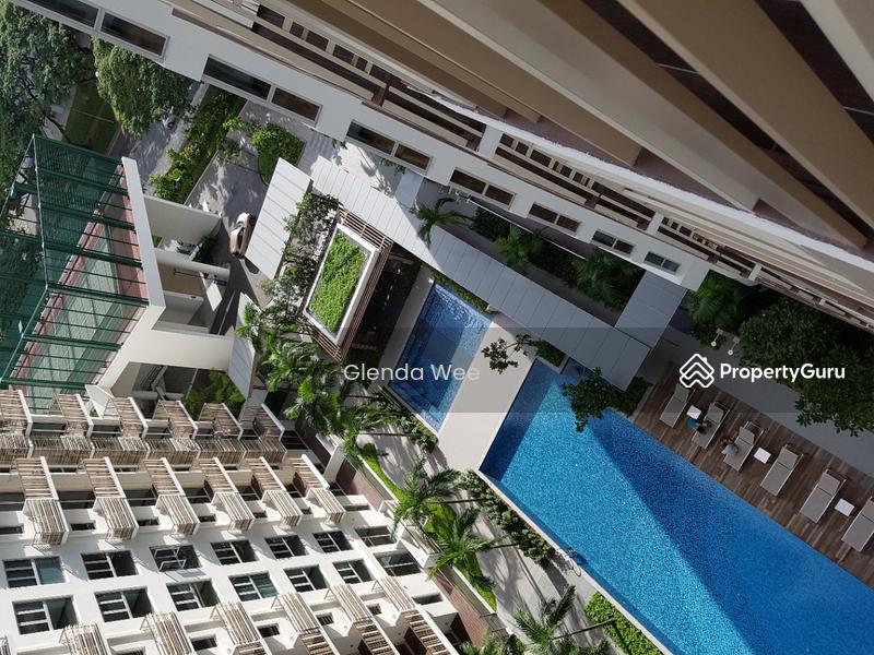 Condominium for Rent, eCO, SGD 4,900 | 99-year lease