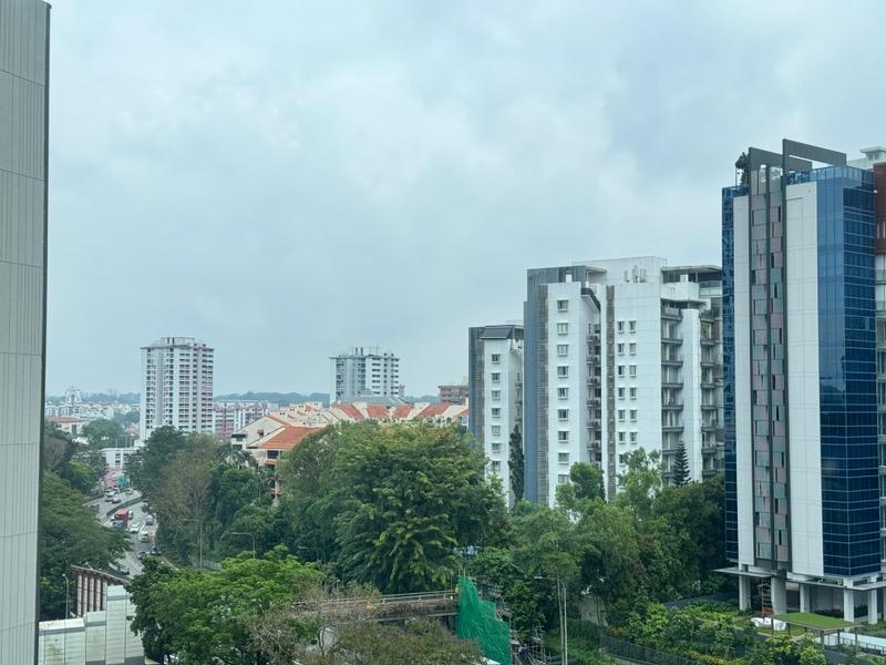 Leedon Green Condominium For Rent, $4,998, 2 Bed 2 Bath 710 sqft $7.04 psf