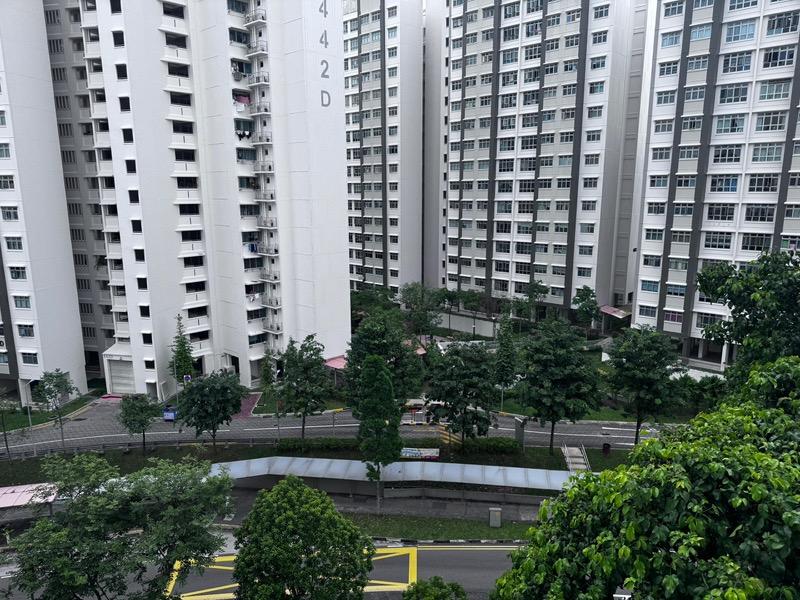 Prop-GPT: HDB Apartment: D23  244 Bukit Panjang Ring Road
