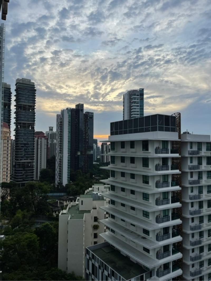 Condominium for Rent, Devonshire Residences Condominium For Rent, $3,700, 1 Bed 1 Bath 506 sqft $7.31 psf, SGD 3,700 | Freehold