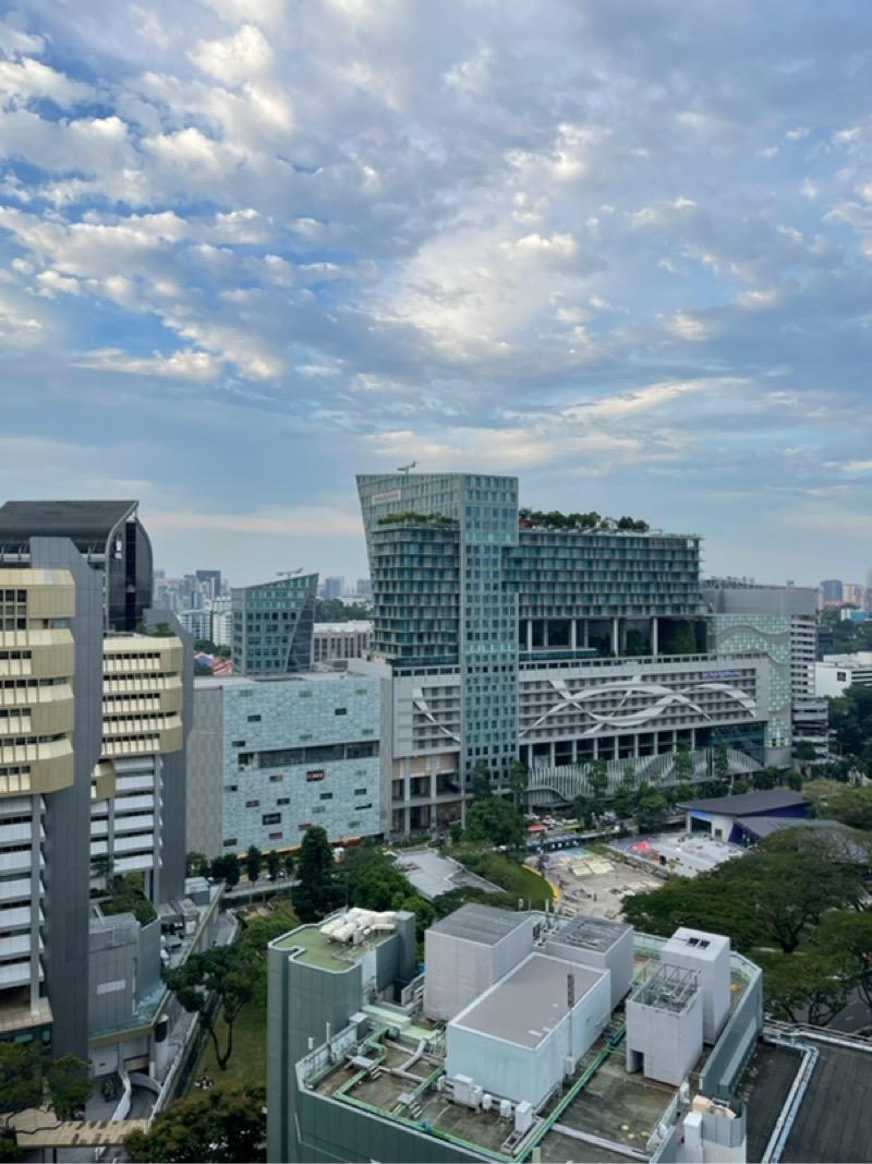 Condominium for Rent, Devonshire Residences Condominium For Rent, $3,700, 1 Bed 1 Bath 506 sqft $7.31 psf, SGD 3,700 | Freehold