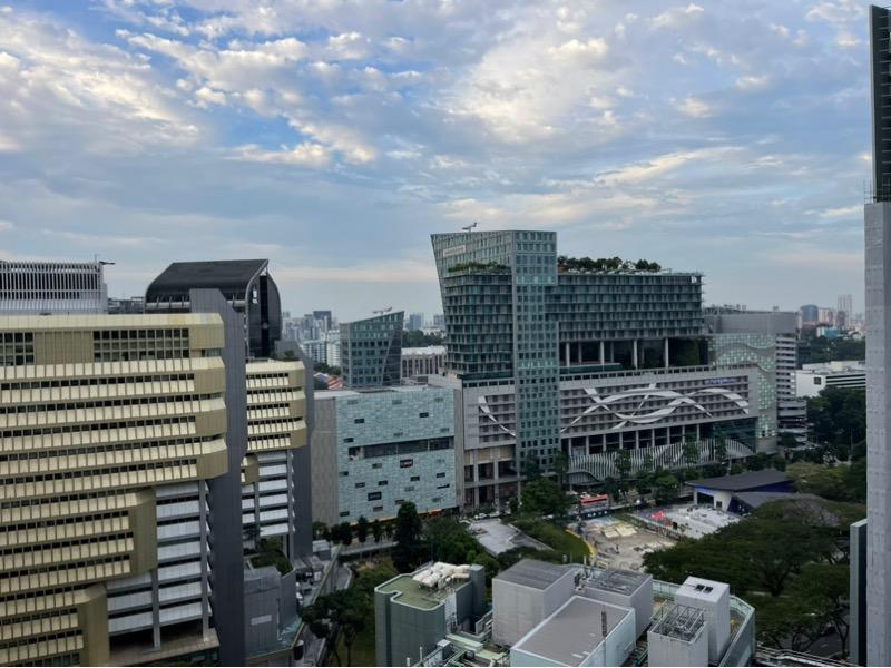 Condominium for Rent, Devonshire Residences Condominium For Rent, $3,700, 1 Bed 1 Bath 506 sqft $7.31 psf, SGD 3,700 | Freehold
