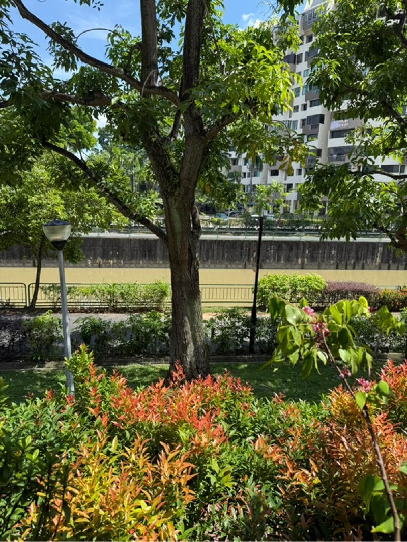 LAKESIDE GROVE Terraced House Room Rental, $1,200, 1 Bed 1 Bath 250 sqft $4.80 psf