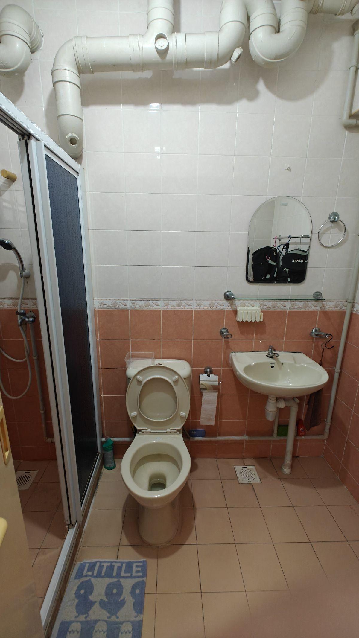 HDB Apartment for Rent: D19, 542319