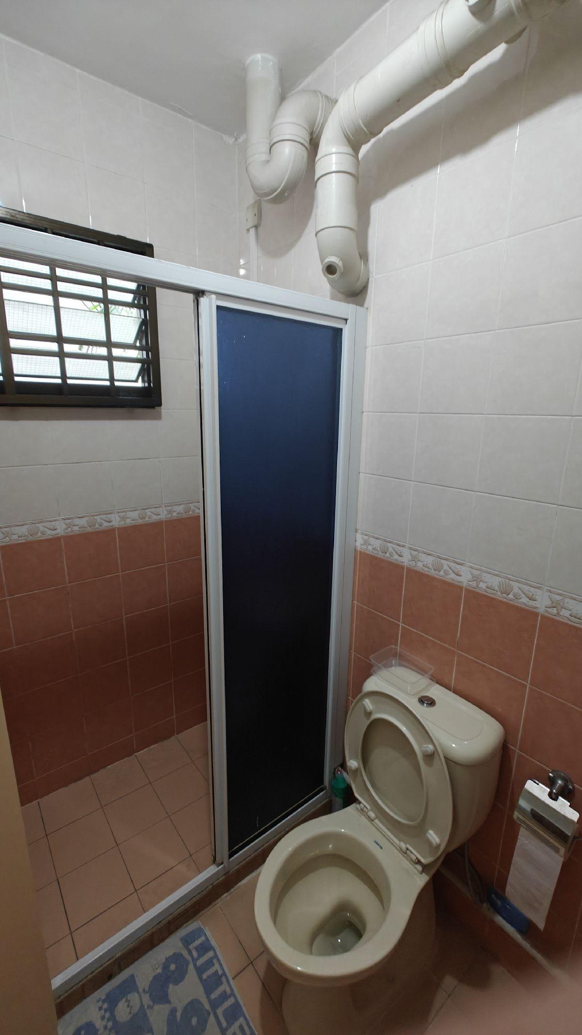 HDB Apartment for Rent: D19, 542319