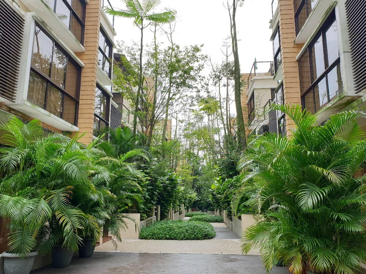 Eleven @ Holland Cluster House For Rent, $10,000, 5 Bed 6 Bath 3,736 sqft $2.68 psf