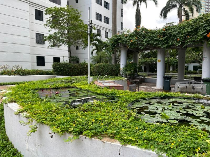 Condominium for Rent, Central Green Condominium Room Rental, $1,400, 1 Bed 1 Bath 100 sqft $14.00 psf, SGD 1,400 | 99-year Leasehold