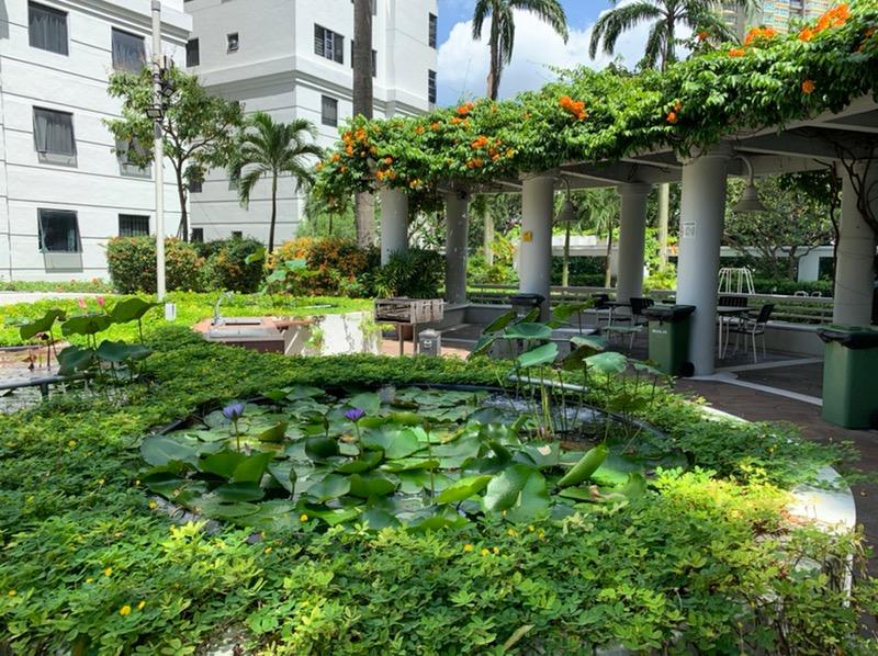 Condominium for Rent, Central Green Condominium Room Rental, $1,400, 1 Bed 1 Bath 100 sqft $14.00 psf, SGD 1,400 | 99-year Leasehold