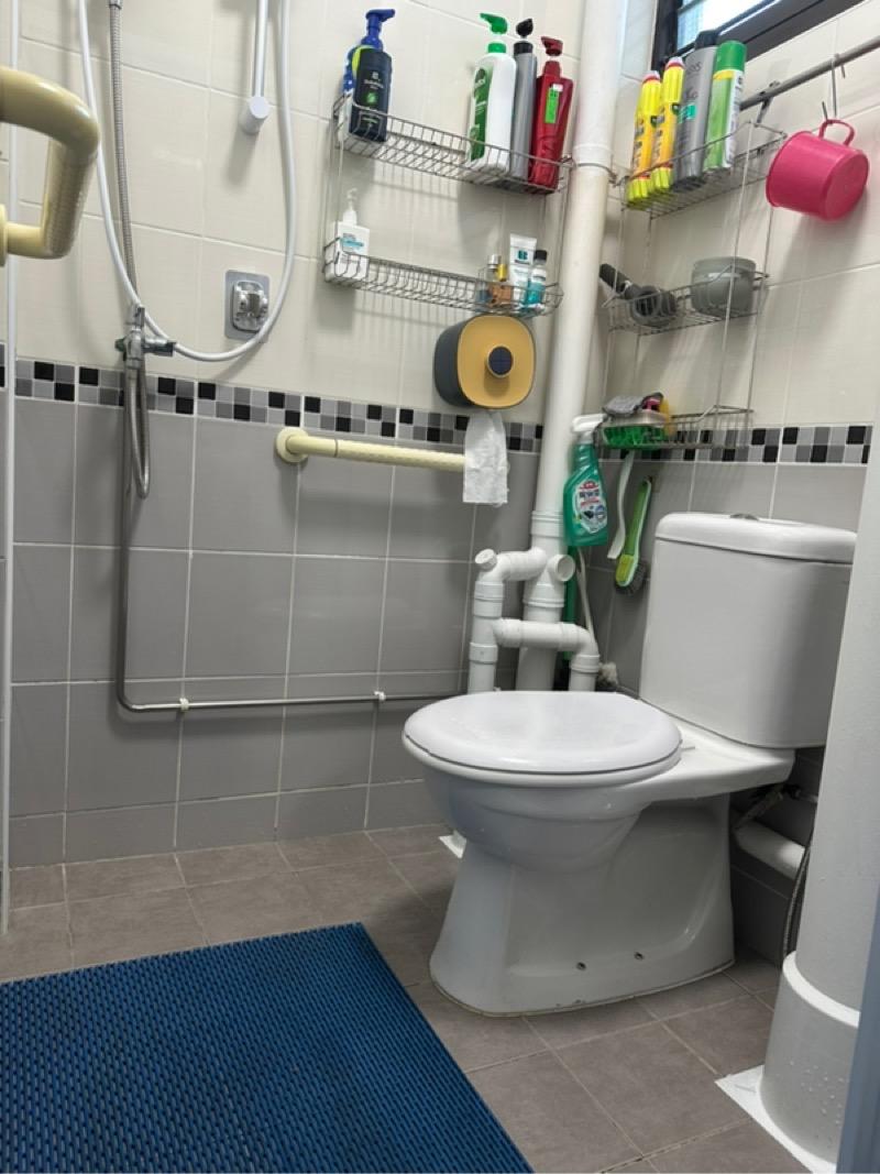HDB Apartment for Rent: D16, 470602