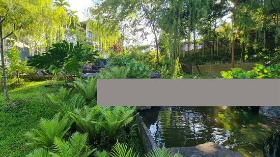 The Creek @ Bukit Condominium For Rent, $3,400, 1 Bed 1 Bath 474 sqft $7.17 psf