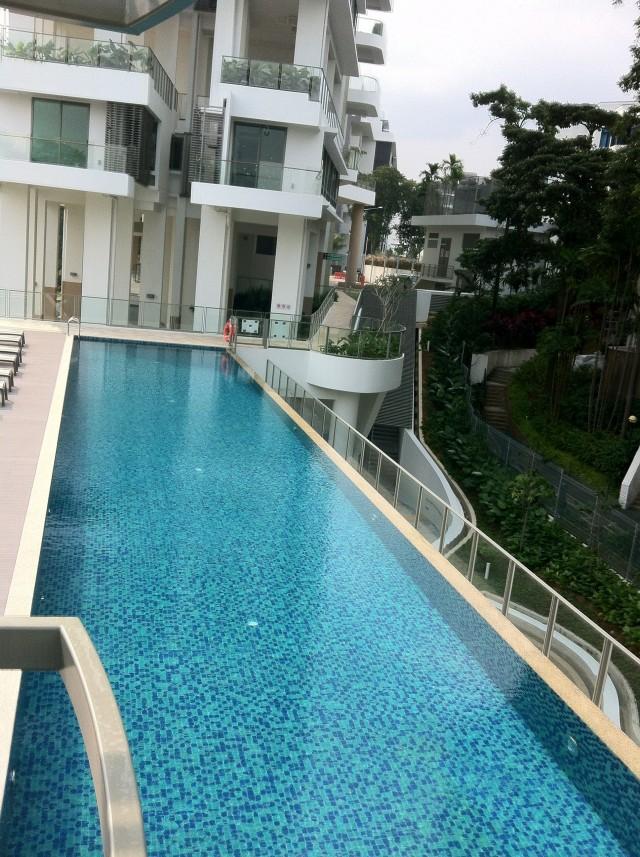 Lush on Holland Hill Condominium For Rent, $7,200, 3 Bed 3 Bath 1,507 sqft $4.78 psf
