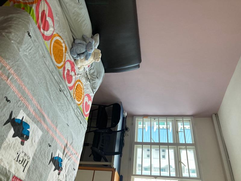 HDB Apartment for Rent: Geylang, D14, 384003