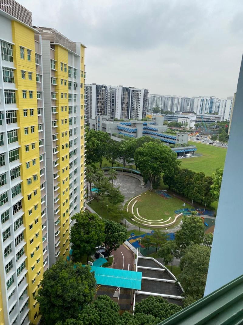 HDB Apartment for Rent: Punggol, D19, 823642