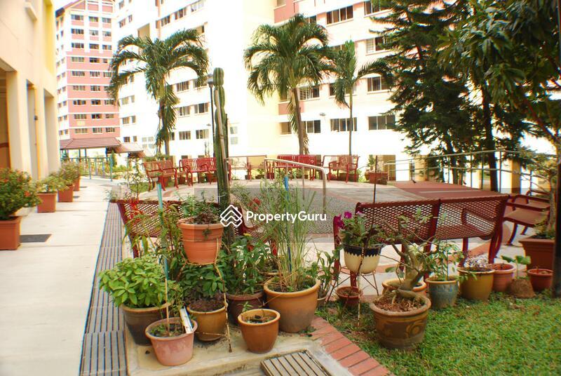 HDB Flat for Rent: D20, 570447