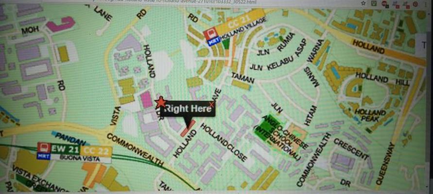 Holland Avenue HDB Apartment For Rent, $3,900, 3 Bed 2 Bath 947 sqft $4.12 psf