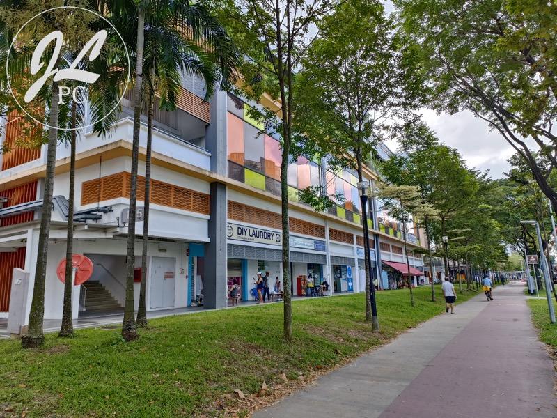 102A Canberra Street HDB Apartment Room Rental, $850, 1 Bed 2 Bath 990 sqft $0.86 psf