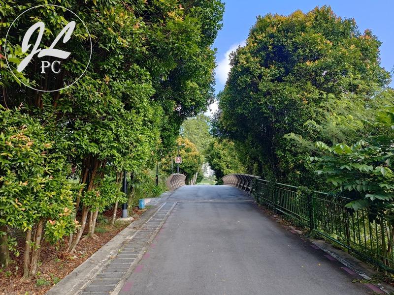 102A Canberra Street HDB Apartment Room Rental, $850, 1 Bed 2 Bath 990 sqft $0.86 psf