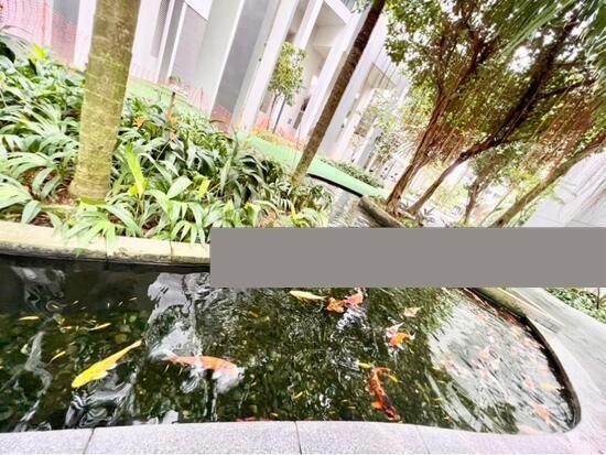 Riversails Condominium Room Rental, $1,400, 1 Bed 1 Bath 150 sqft $9.33 psf