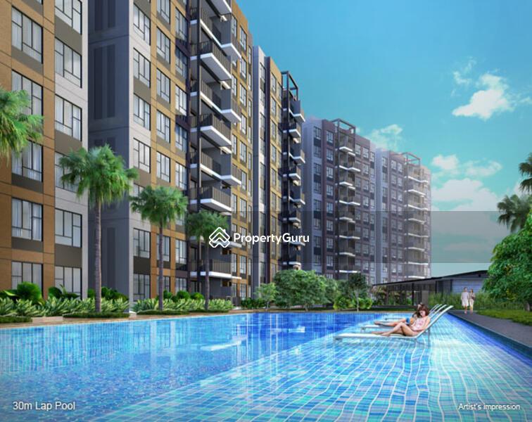 Executive Condominium for Rent: Yishun, D27, 767999
