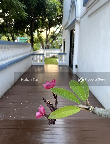 Corner Terrace for Rent: D15, 426858