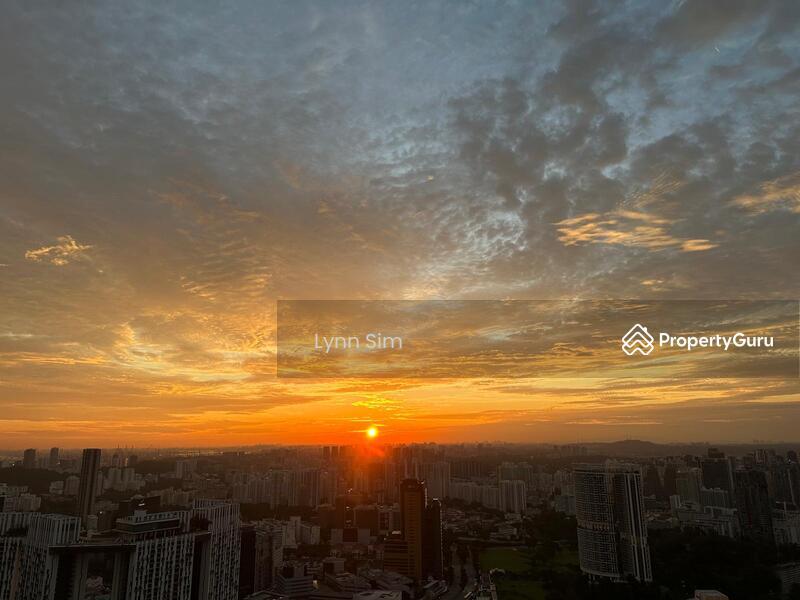 Condominium for Rent: Anson, D02, 078882
