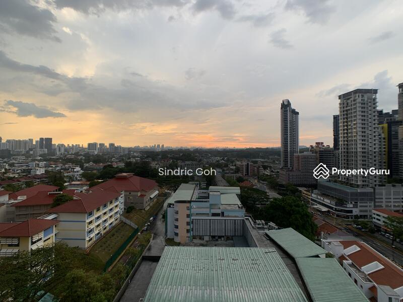 Novena, Balestier, Irrawaddy Rd, 2rm Fully Furnished Condo for Rent!