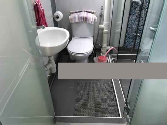 222 Serangoon Avenue 4 HDB Apartment For Rent, $2,500, 1 Bed 2 Bath 721 sqft $3.47 psf