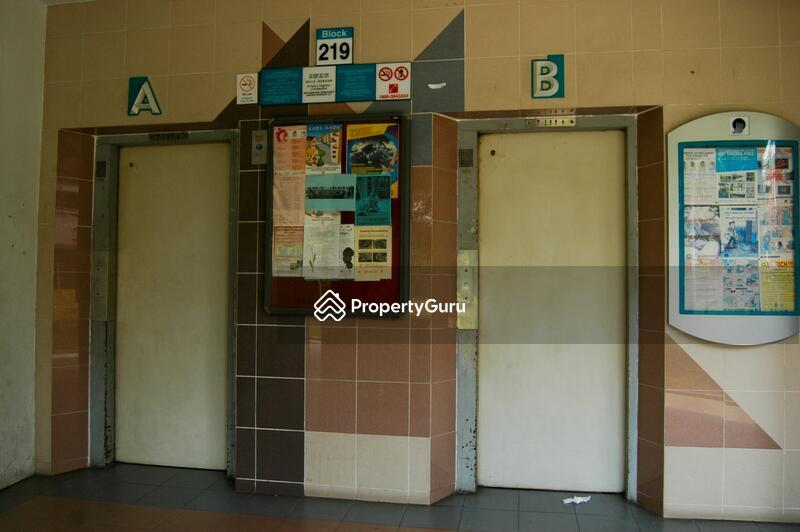 219 Bukit Batok Street 21