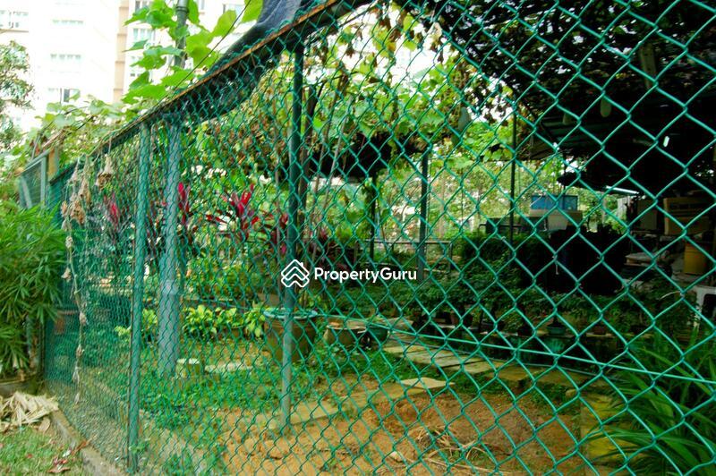 219 Bukit Batok Street 21