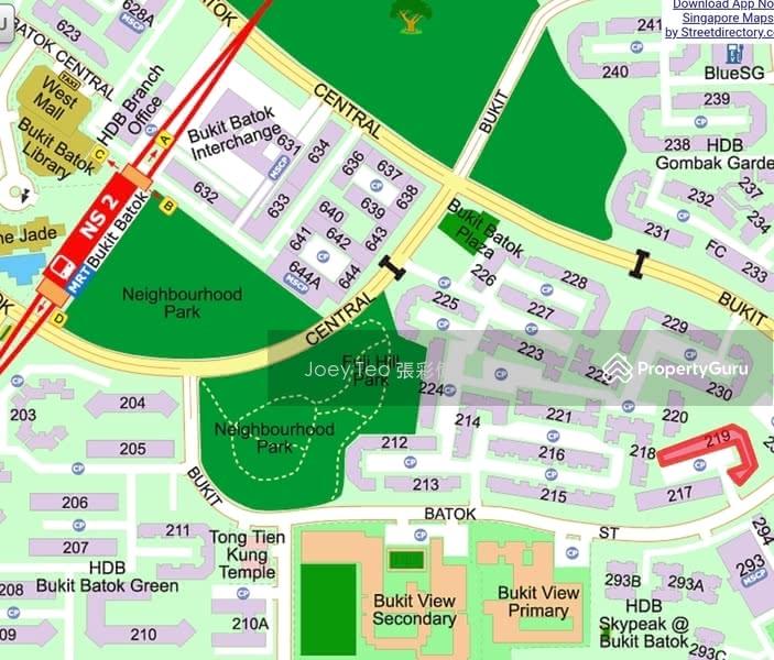 219 Bukit Batok Street 21