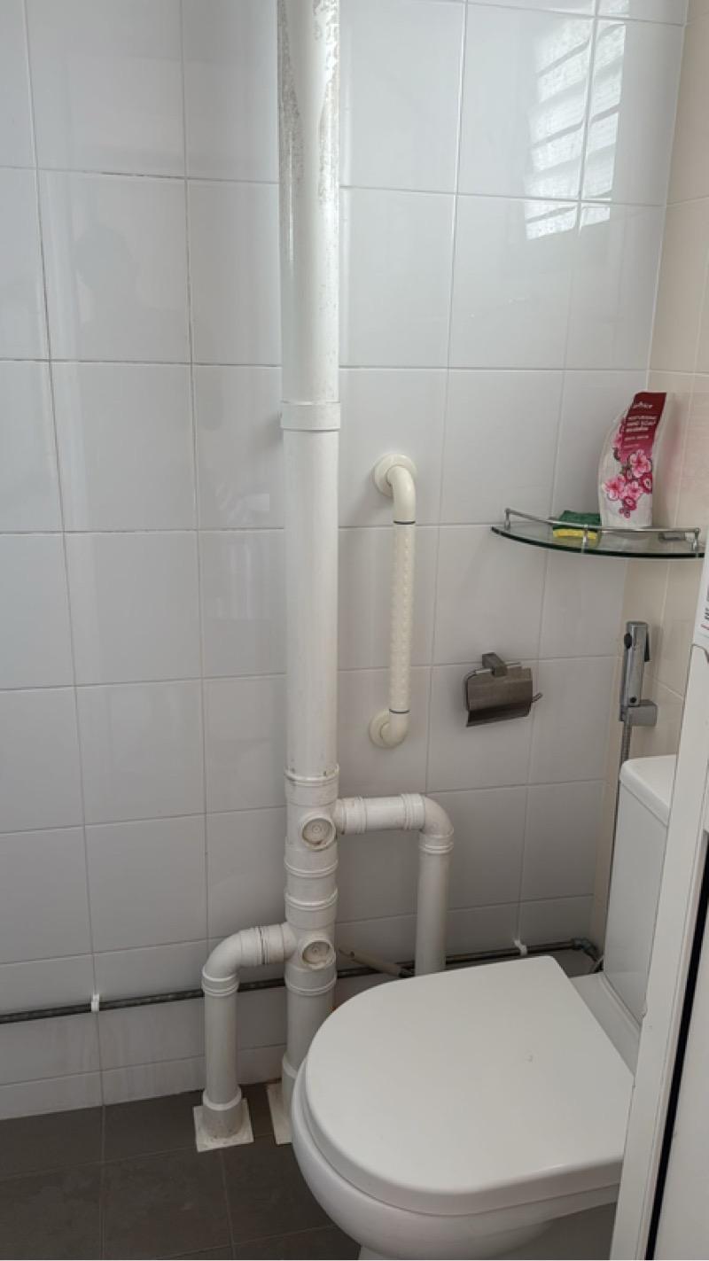 407 Pandan Gardens HDB Apartment Room Rental, $1,400, 1 Bed 1 Bath 269 sqft $5.20 psf
