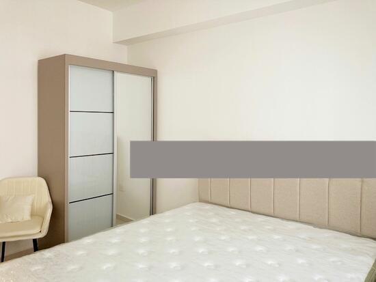 HDB Apartment for Rent: D18, 523859