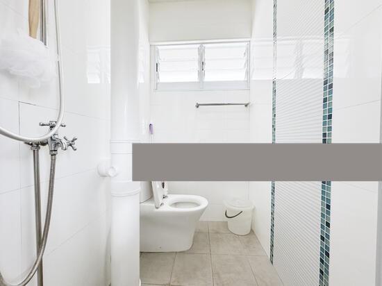 HDB Apartment for Rent: D16, 460424
