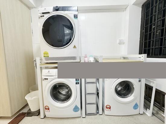 HDB Apartment for Rent: D18, 520323