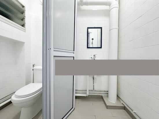 HDB Apartment for Rent: D18, 520323
