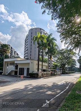 Condominium for Rent: Youngberg Terrace, Potong Pasir, D13, 357741