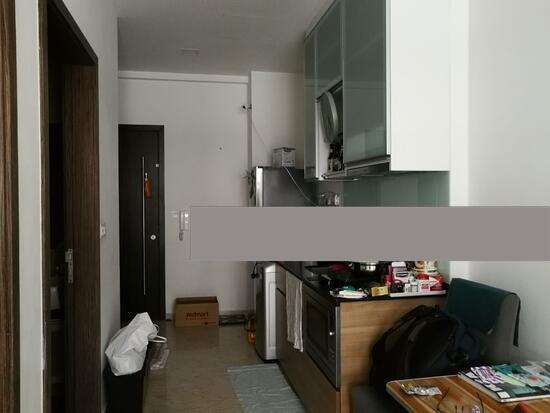 Suites at Bukit Timah Condominium For Rent, $2,900, 1 Bed 1 Bath 431 sqft $6.73 psf