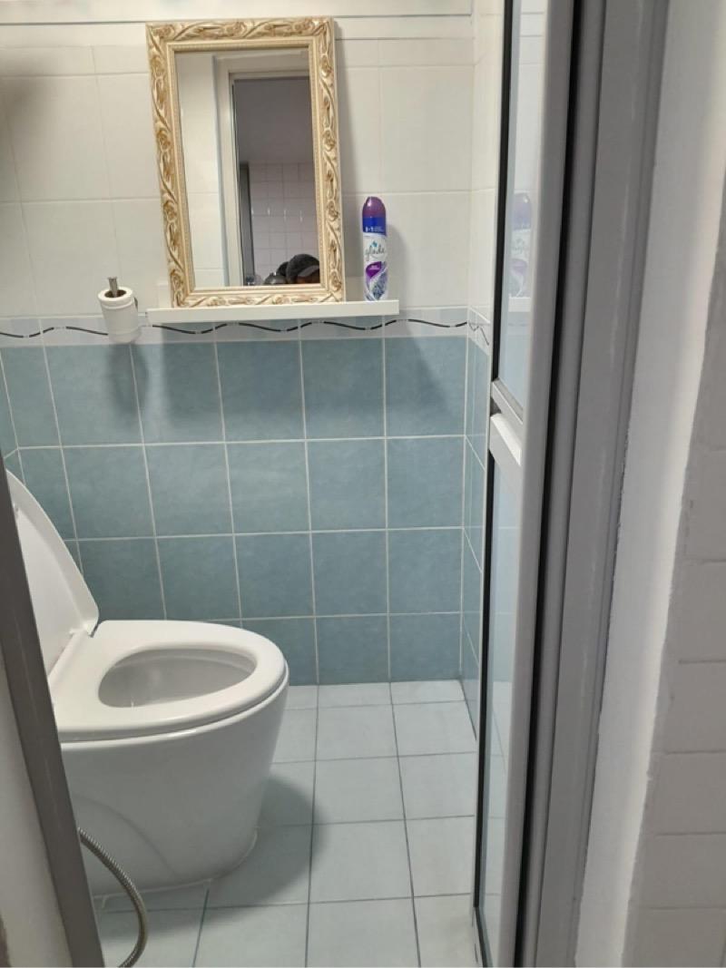 HDB Apartment for Rent: Holland, D10, 272009