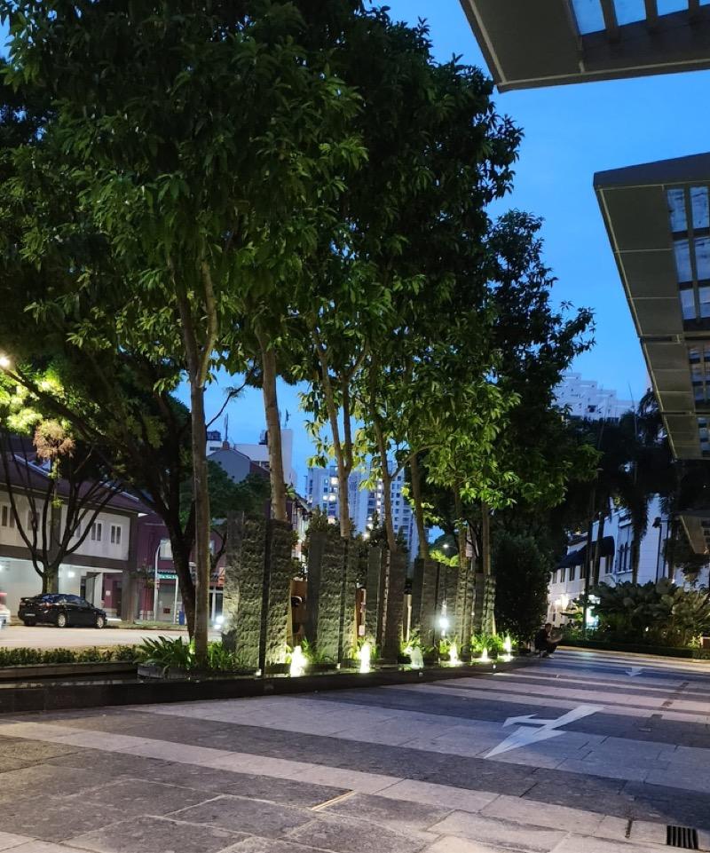Apartment for Rent: D09, 239013