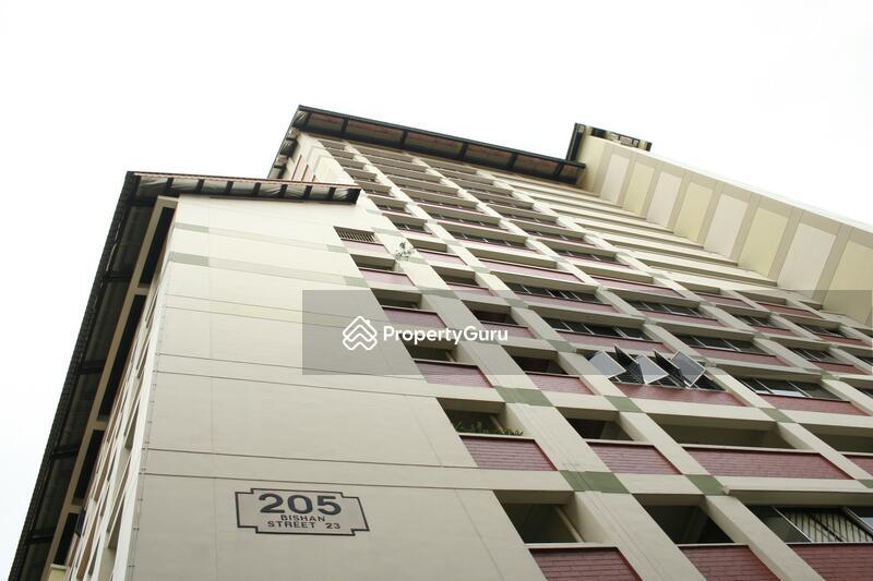 205 Bishan Street 23